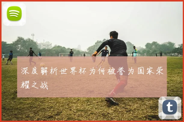 深度解析世界杯为何被誉为国家荣耀之战