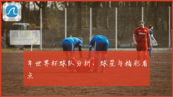 年世界杯球队分析、球星与精彩看点