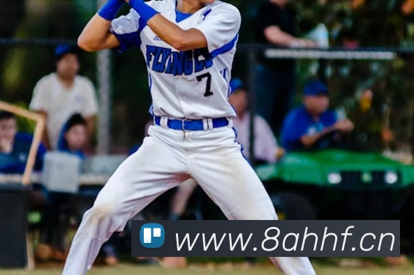 九游app入口平台生态图