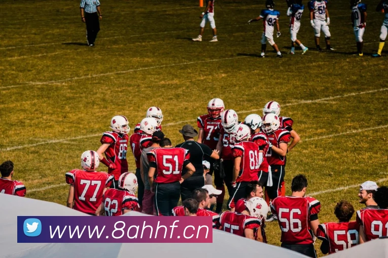 九游app入口APP 封面图